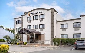 Comfort Inn Edgewater 3*